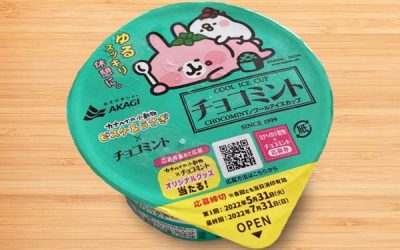 Akagi Choco Mint Ice Cream
