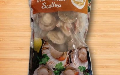 Frozen Half Shell Scallop 6/7