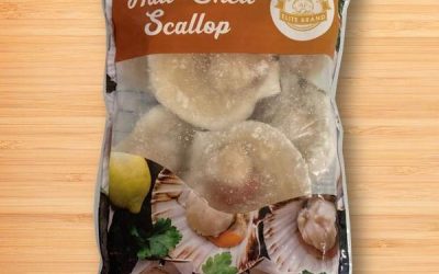 Frozen Half Shell Scallop 9/10