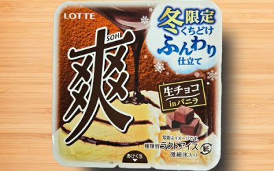 Lotte Chocolate Vanilla Icecream